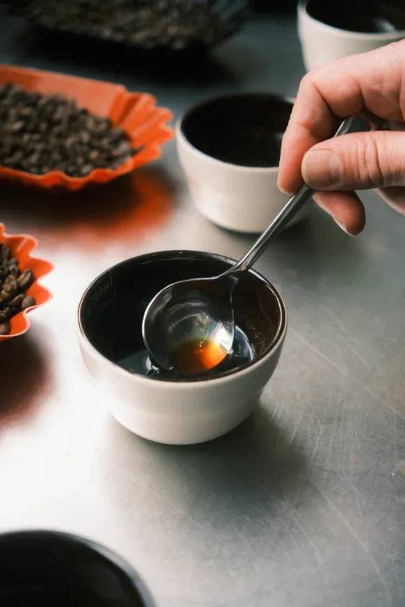 Blind cupping: a hand lifts a spoonful of coffee from a sample bowl on a steel table