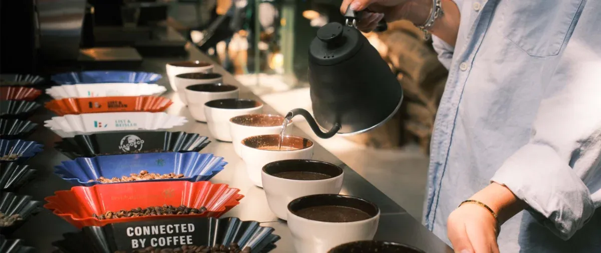 Cupping line in the Munich roast hall: a row of sample bowls being poured with a gooseneck kettle